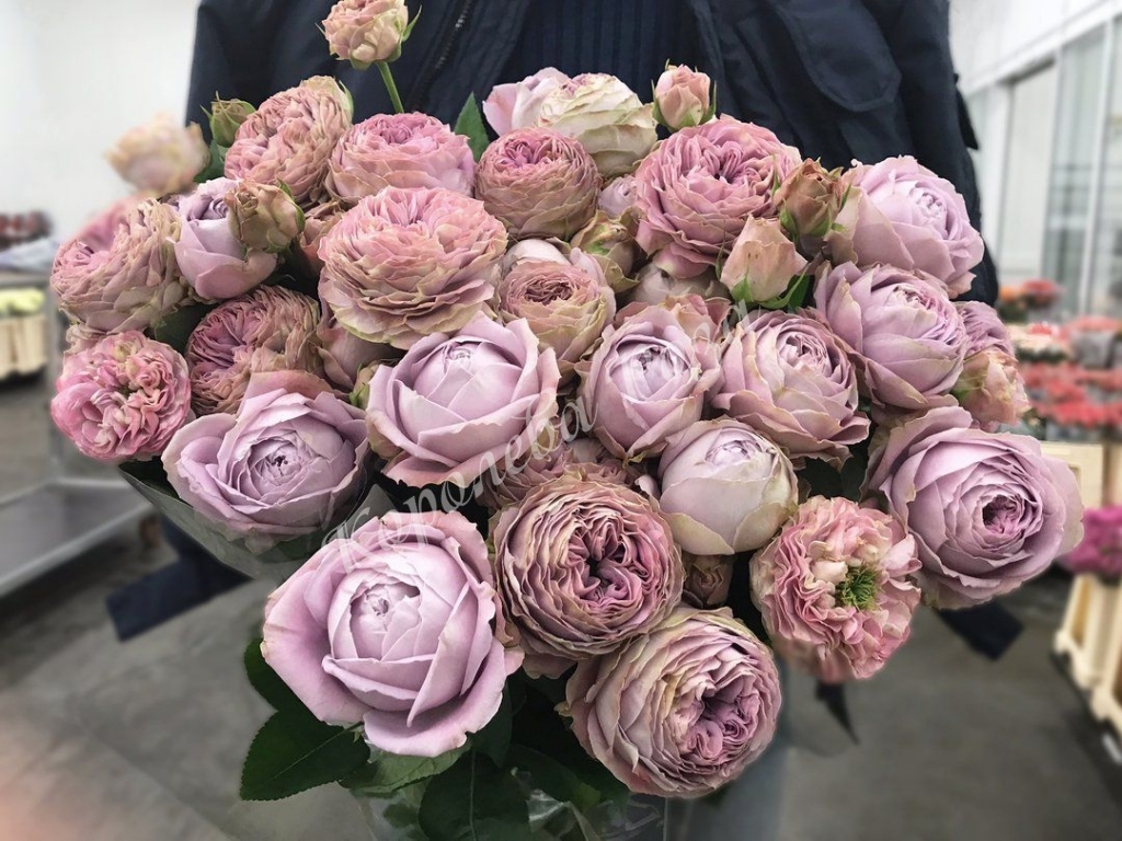 BLOSSOM BUBBLES